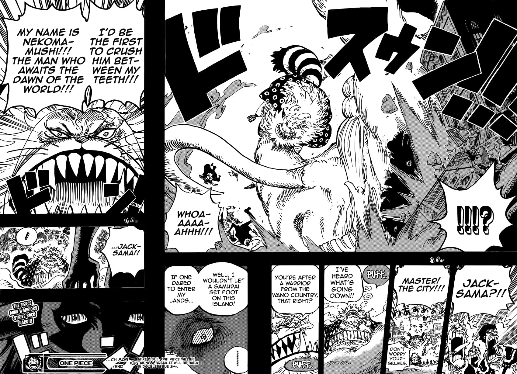 One Piece, Chapter 809 image 17